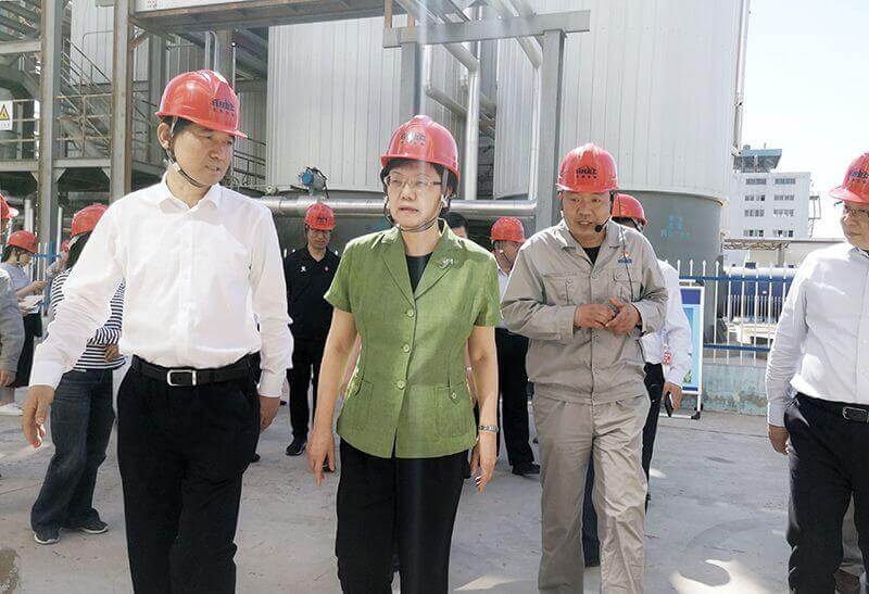 2019年5月23日，，全国政协副主席李斌（左二）到1XBET官网调研