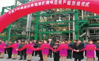 2000-2005年，选取意大利欧技工艺技术，相继建成了三套三聚氰胺出产装置，年产能5.4万吨