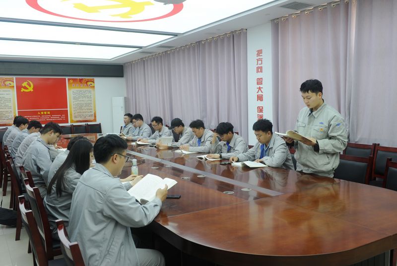 公司团委进行“学思想 转风格 见行动”主题团日活动